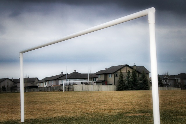 记者：河南足协杯决赛门票预约已达70%，北京只有10%